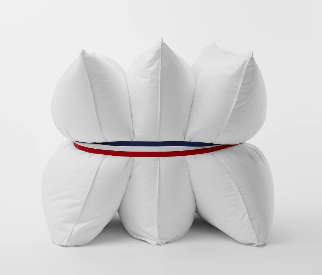 Le Matelas Français : toujours autant d’étoiles pour 2024